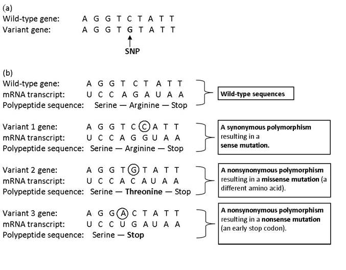 figure1